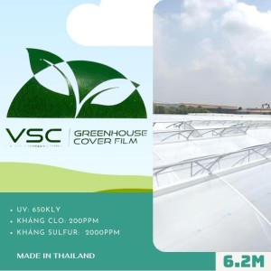 Màng nhà kính Thái Lan - VSC khổ 6.2m x 100m